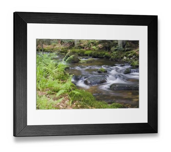 Framed Print : Kleine Ohe forest creek near Waldhaeuser in the Bavarian Forest National Park, Lower Bavaria, Bavaria, Germany, Europe Framed Print : Kleine Ohe forest creek near Waldhaeuser in the Bavarian Forest National Park, Lower Bavaria, Bavaria, Germany, Europe