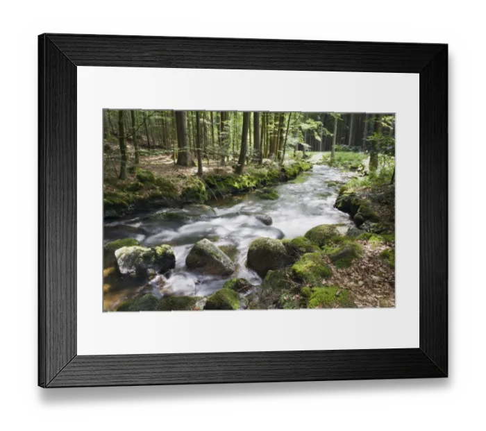 Framed Print : Kleine Ohe forest creek near Waldhaeuser in the Bavarian Forest National Park, Lower Bavaria, Bavaria, Germany, Europe Framed Print : Kleine Ohe forest creek near Waldhaeuser in the Bavarian Forest National Park, Lower Bavaria, Bavaria, Germany, Europe