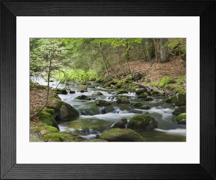 Framed Print : Kleine Ohe forest creek near Waldhaeuser in the Bavarian Forest National Park, Lower Bavaria, Bavaria, Germany, Europe Framed Print : Kleine Ohe forest creek near Waldhaeuser in the Bavarian Forest National Park, Lower Bavaria, Bavaria, Germany, Europe
