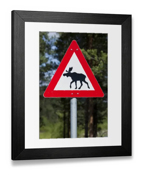 Framed Print : Moose warning sign, Norway, Scandinavia, Europe Framed Print : Moose warning sign, Norway, Scandinavia, Europe