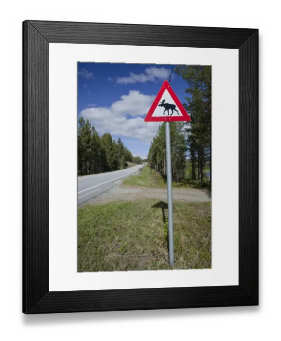 Framed Print : Moose warning sign, Norway, Scandinavia, Europe