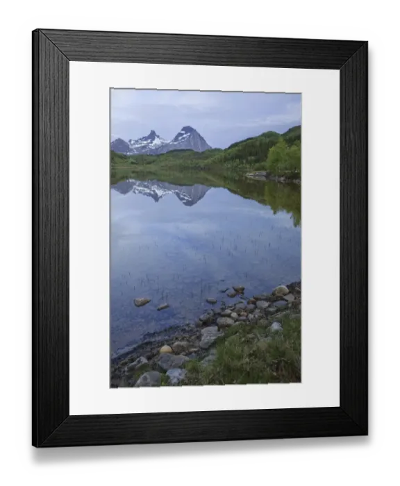Framed Print : Reflections on the water surface of a lake, Norway, Scandinavia, Europe Framed Print : Reflections on the water surface of a lake, Norway, Scandinavia, Europe