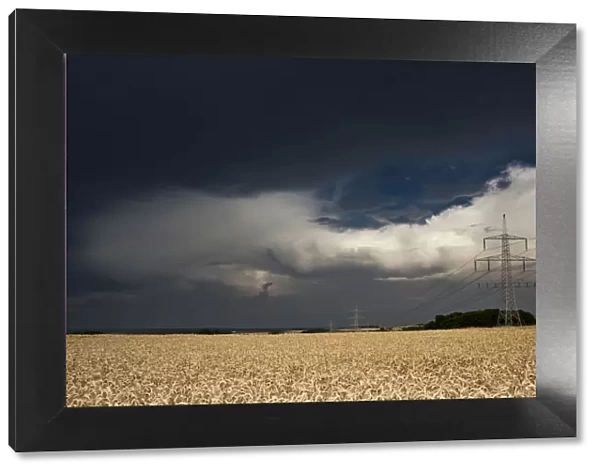 Thick storm clouds gathering over a field of rye with power poles, Bavaria, Germany, Europe