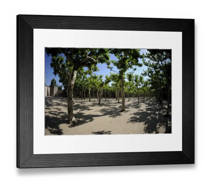 Framed Print : Mathildenhoehe, Darmstadt, Hesse, Germany, Europe Framed Print : Mathildenhoehe, Darmstadt, Hesse, Germany, Europe