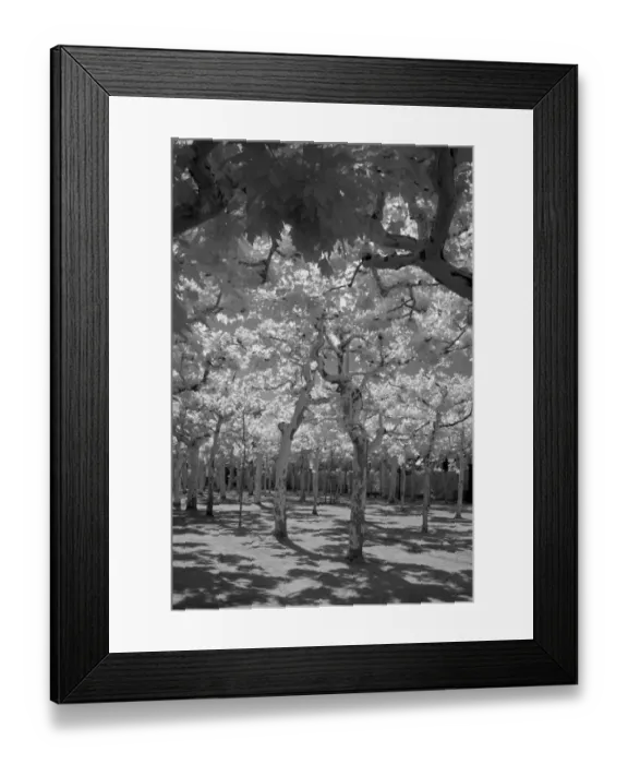 Framed Print : Mathildenhoehe, Darmstadt, Hesse, Germany, Europe Framed Print : Mathildenhoehe, Darmstadt, Hesse, Germany, Europe