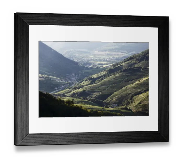 Framed Print : Vineyards in the Spitzer Graben valley and the municipality of Viessling, Wachau valley, Waldviertel region, Lower Austria, Austria, Europe