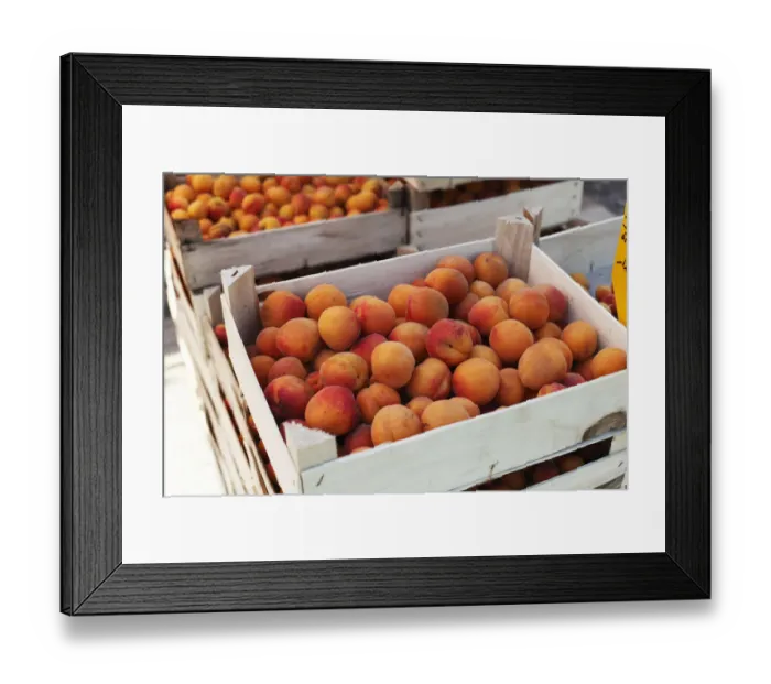 Framed Print : Apricot in fruit crate, Wachau, Lower Austria, Austria, Europe Framed Print : Apricot in fruit crate, Wachau, Lower Austria, Austria, Europe