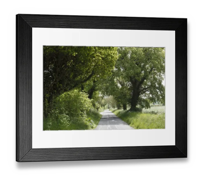 Framed Print : Avenue, Monasterboice, County Louth, Leinster, Ireland, Europe Framed Print : Avenue, Monasterboice, County Louth, Leinster, Ireland, Europe