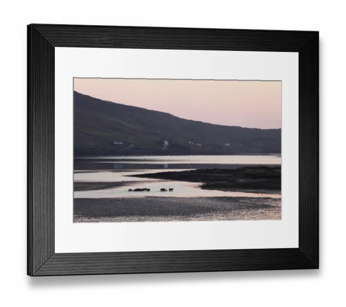 Framed Print : Evening bay with Skyroads, Connemara, County Galway, Republic of Ireland, Europe