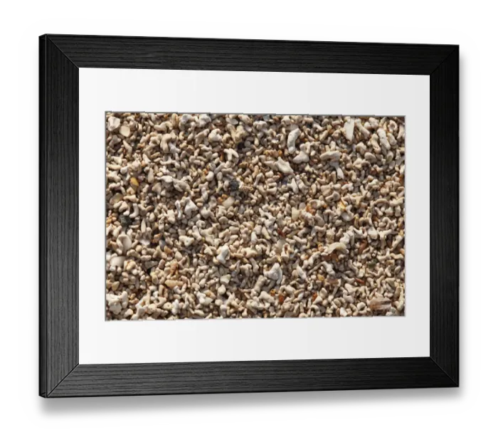 Framed Print : Coral sand, Mannin Bay, Ballyconneely, Connemara, County Galway, Republic of Ireland, Europe Framed Print : Coral sand, Mannin Bay, Ballyconneely, Connemara, County Galway, Republic of Ireland, Europe
