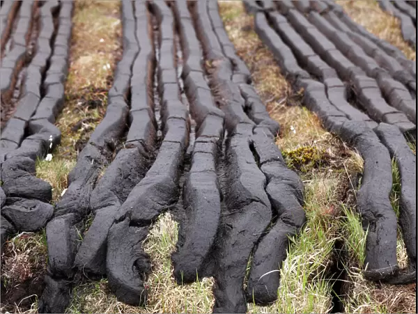 Peat cutting, Connemara, County Galway, Republic of Ireland, Europe