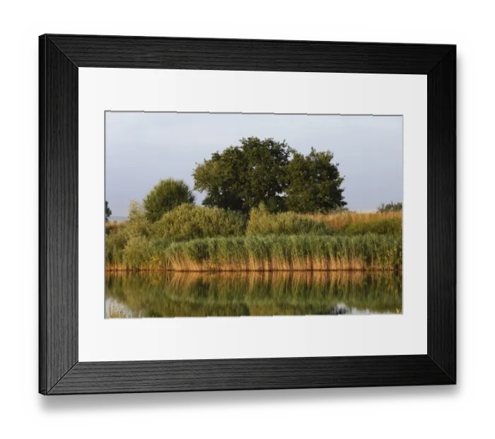 Framed Print : Quarry pond, Schwarzach am Main, Mainfranken, Lower Franconia, Franconia, Bavaria, Germany, Europe