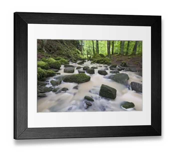 Framed Print : Mossy rocks in Monbach creek, Black Forest, Baden-Wuerttemberg, Germany, Europe Framed Print : Mossy rocks in Monbach creek, Black Forest, Baden-Wuerttemberg, Germany, Europe