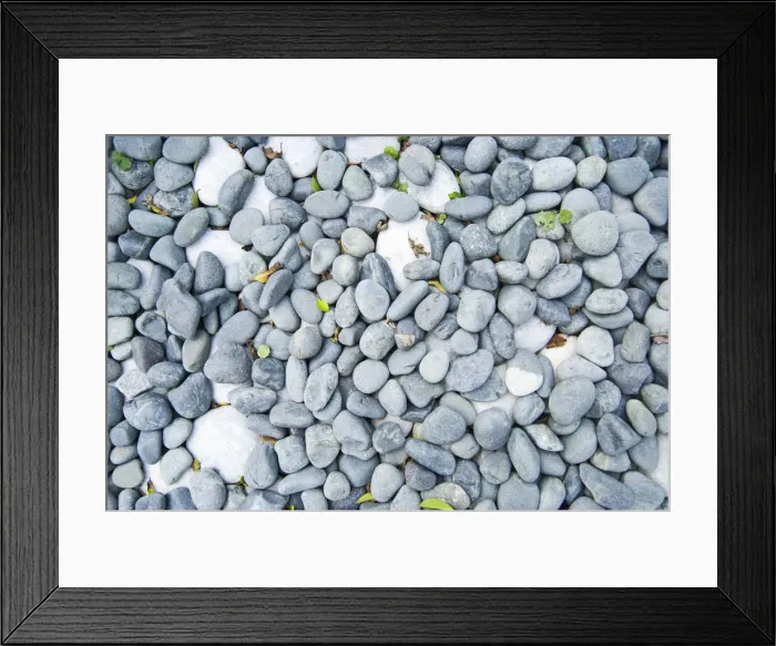 Framed Print : White and gray pebbles with fallen leaves Framed Print : White and gray pebbles with fallen leaves