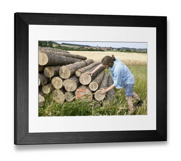 Framed Print : Farmer examining stacked logs Framed Print : Farmer examining stacked logs