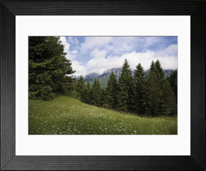 Framed Print : Groeblalm mountain pastures near Mittenwald, Karwendelgebirge mountains, Werdenfelser Land area, Upper Bavaria, Bavaria, Germany, Europe Framed Print : Groeblalm mountain pastures near Mittenwald, Karwendelgebirge mountains, Werdenfelser Land area, Upper Bavaria, Bavaria, Germany, Europe