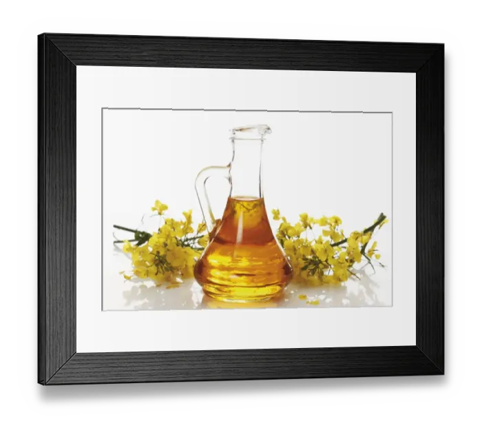Framed Print : Bottle of fresh canola oil with rapeseed flowers Framed Print : Bottle of fresh canola oil with rapeseed flowers