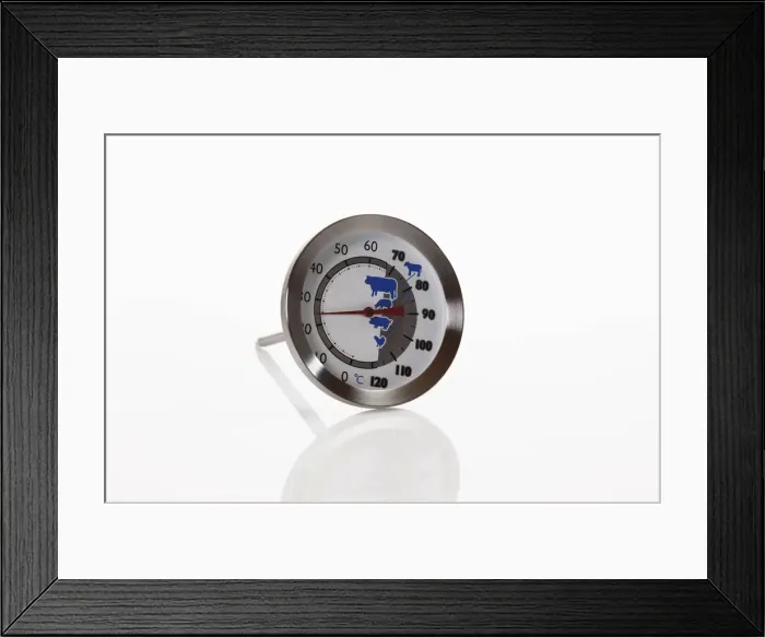Framed Print : Meat thermometer Framed Print : Meat thermometer