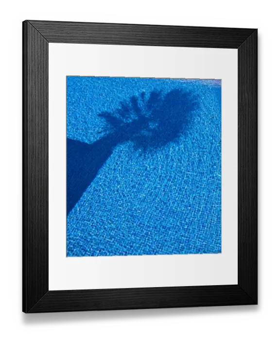 Framed Print : Shadow of a palm tree in a pool Framed Print : Shadow of a palm tree in a pool