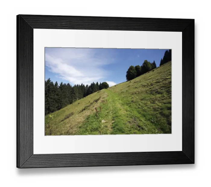 Framed Print : Trail on a steep slope at Rottecksattel in the Black Forest, Baden-Wuerttemberg, Germany, Europe Framed Print : Trail on a steep slope at Rottecksattel in the Black Forest, Baden-Wuerttemberg, Germany, Europe