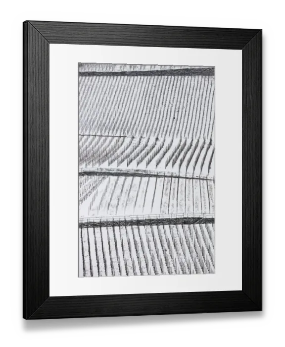 Framed Print : Vineyards on the Moselle river in winter with snow, Europe Framed Print : Vineyards on the Moselle river in winter with snow, Europe