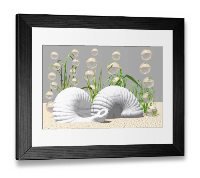 Framed Print : Snail shells on the bottom of the sea, 3D computer graphics Framed Print : Snail shells on the bottom of the sea, 3D computer graphics