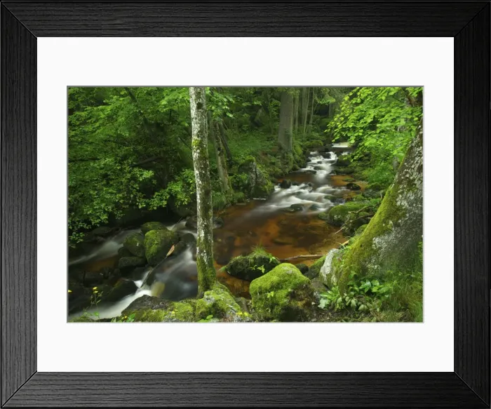 Framed Print : Ysper River, Ysper Gorge and forest, Austria, Europe Framed Print : Ysper River, Ysper Gorge and forest, Austria, Europe