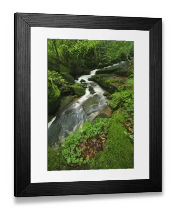 Framed Print : Ysper River, Ysper Gorge and forest, Austria, Europe Framed Print : Ysper River, Ysper Gorge and forest, Austria, Europe