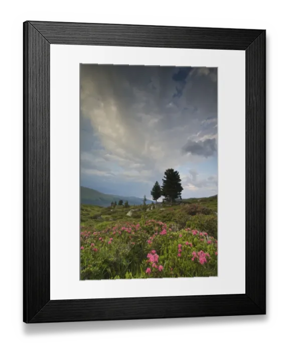 Framed Print : Nationalpark Nockberge national park after a rain storm, Carinthia, Austria, Europe