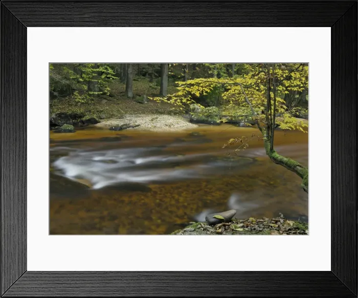 Framed Print : River Aist, Upper Austria, Austria, Europe Framed Print : River Aist, Upper Austria, Austria, Europe