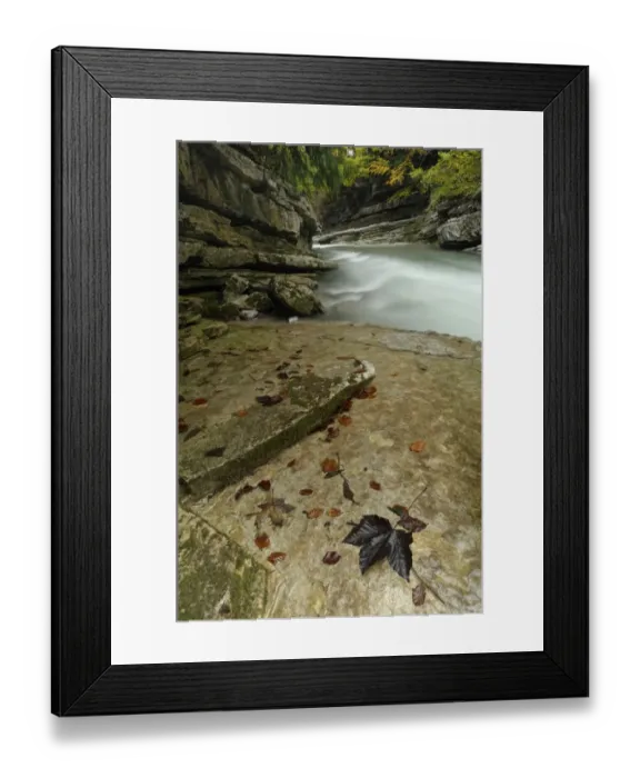 Framed Print : Autumn at the Tauglbach river, Salzburg Austria, Europe Framed Print : Autumn at the Tauglbach river, Salzburg Austria, Europe
