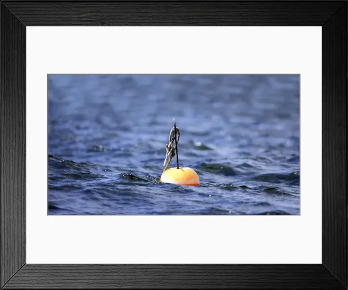 Framed Print : Marker buoy