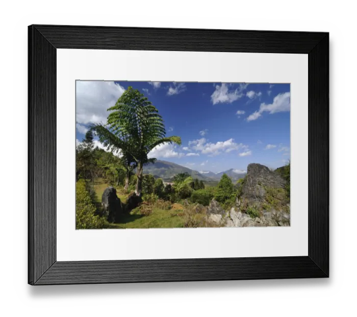 Framed Print : Ham Rong Mountain, Dragon Jaw Mountain, Sapa, Vietnam, Asia