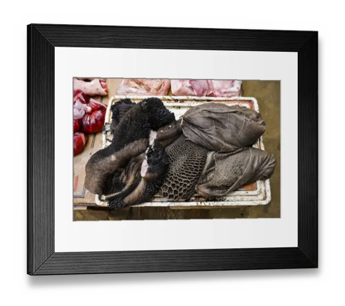 Framed Print : Buffalo stomach, delicacy, market, Vietnam, Asia Framed Print : Buffalo stomach, delicacy, market, Vietnam, Asia