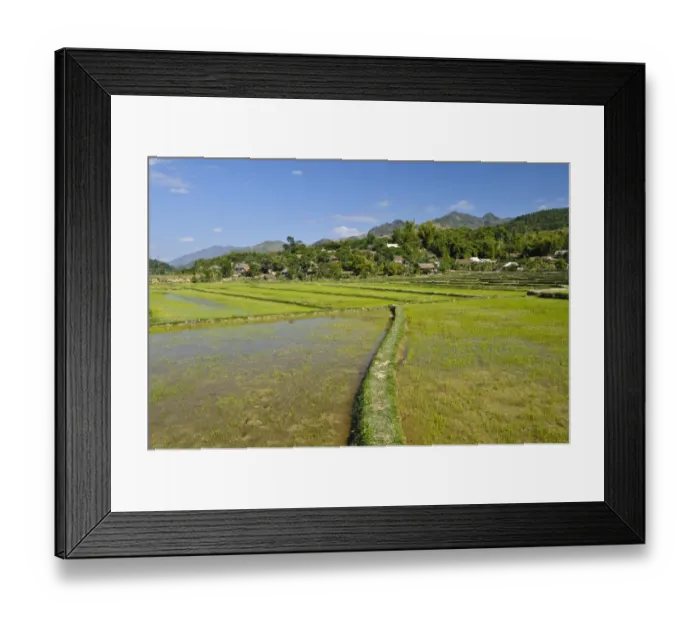 Framed Print : Mai Chau Valley, Vietnam, Asia Framed Print : Mai Chau Valley, Vietnam, Asia
