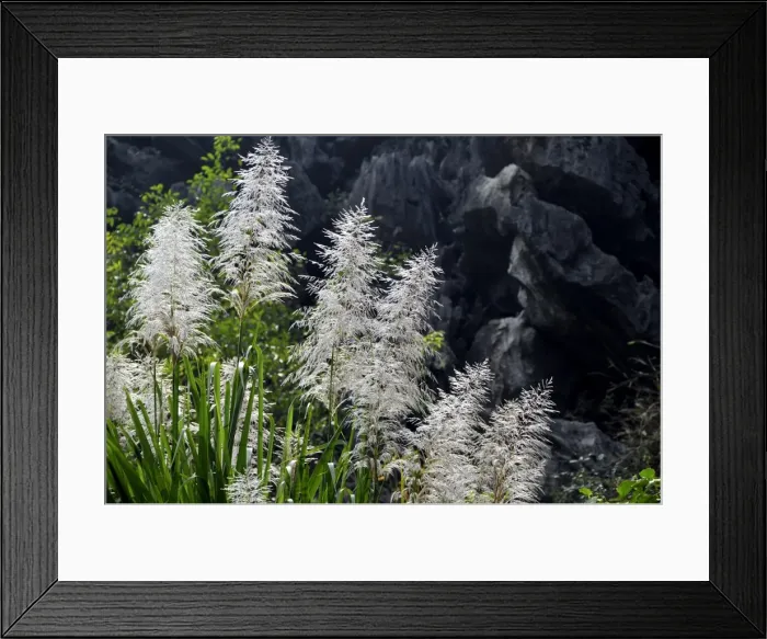 Framed Print : Near Ninh Binh, dry Halong Bay, Vietnam, Southeast Asia Framed Print : Near Ninh Binh, dry Halong Bay, Vietnam, Southeast Asia