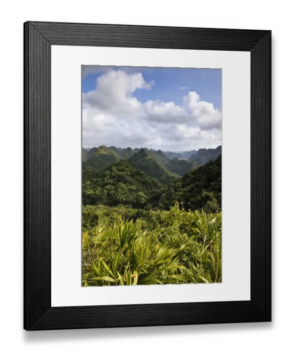Framed Print : Cat Ba National Park, on the way to the Ngu Lam summit, Kim Giao forest, UNESCO biosphere reserve, Vietnam, Southeast Asia Framed Print : Cat Ba National Park, on the way to the Ngu Lam summit, Kim Giao forest, UNESCO biosphere reserve, Vietnam, Southeast Asia