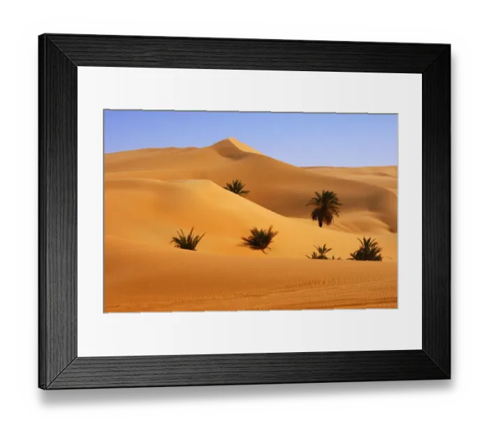 Framed Print : Palm trees growing in the hot desert sand, Mandara Valley, Ubari Sand Sea, Sahara, Libya, North Africa, Africa Framed Print : Palm trees growing in the hot desert sand, Mandara Valley, Ubari Sand Sea, Sahara, Libya, North Africa, Africa