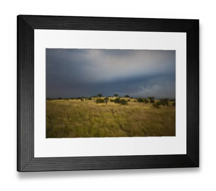 Framed Print : Serengeti with dark storm clouds, Tanzania, Africa Framed Print : Serengeti with dark storm clouds, Tanzania, Africa