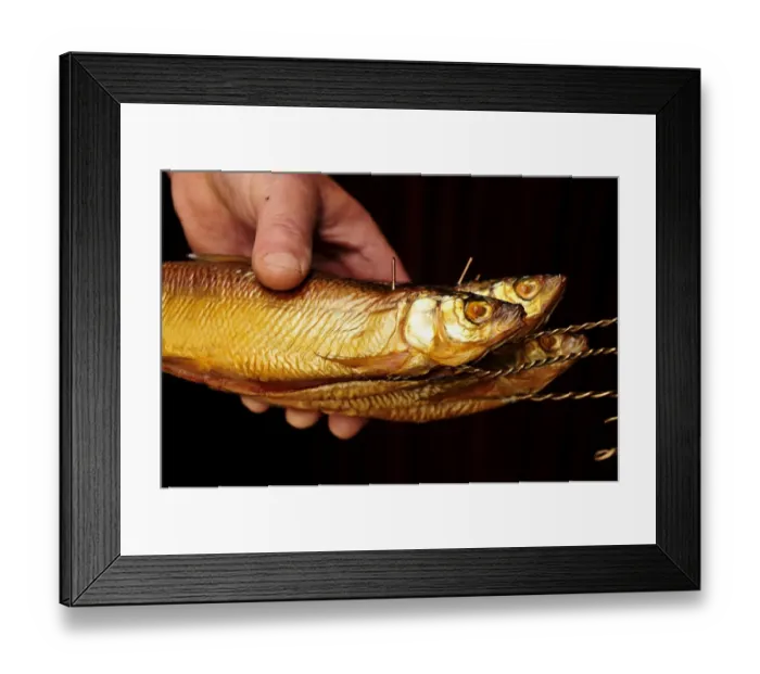 Framed Print : Smoked Whitefish (Coregonus hoferi) in the fish shop of the fisherman Thomas Lex on Fraueninsel, Womens Island, Lake Chiemsee, Chiemgau, Bavaria, Germany, Europe Framed Print : Smoked Whitefish (Coregonus hoferi) in the fish shop of the fisherman Thomas Lex on Fraueninsel, Womens Island, Lake Chiemsee, Chiemgau, Bavaria, Germany, Europe