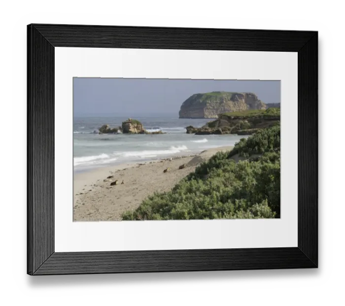 Framed Print : Seal Bay, Kangaroo Island, Australia Framed Print : Seal Bay, Kangaroo Island, Australia