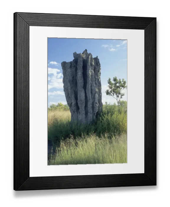 Framed Print : Termite mound, Australia Framed Print : Termite mound, Australia