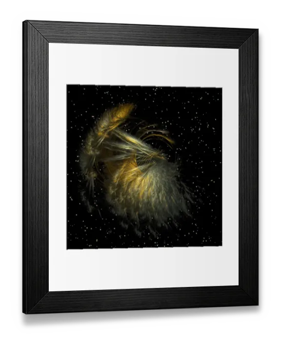 Framed Print : Fractal object Framed Print : Fractal object