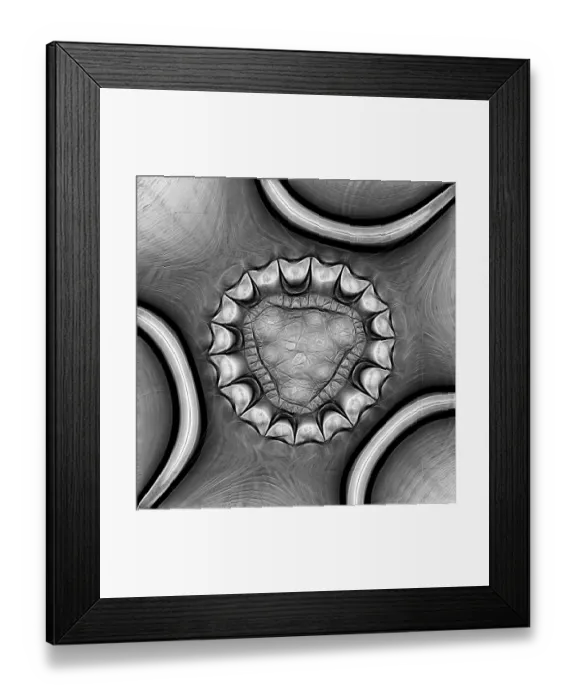 Framed Print : Fractal object Framed Print : Fractal object