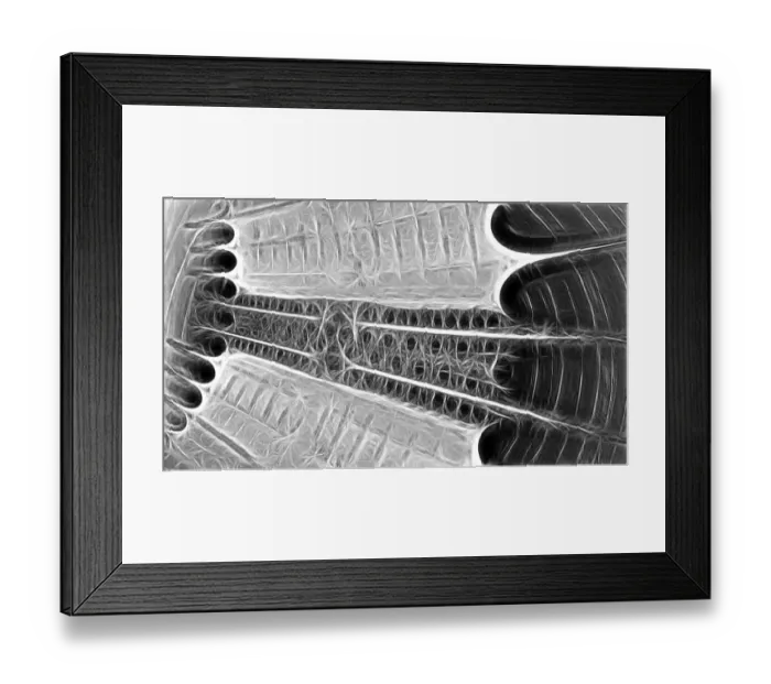 Framed Print : Fractal object Framed Print : Fractal object