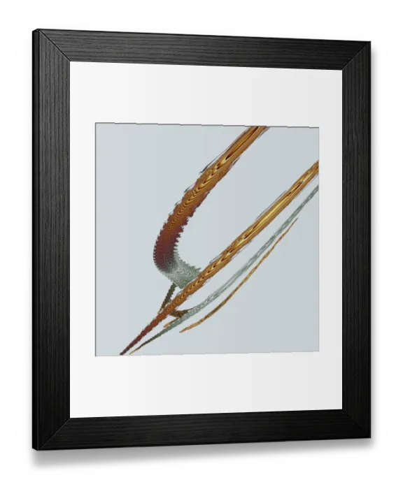 Framed Print : Fractal object Framed Print : Fractal object