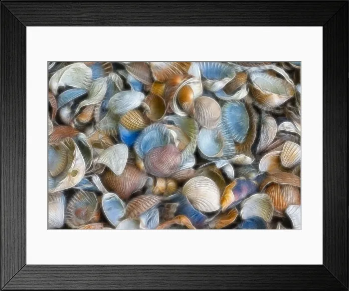 Framed Print : Texture, sea shells, filtered fractally Framed Print : Texture, sea shells, filtered fractally
