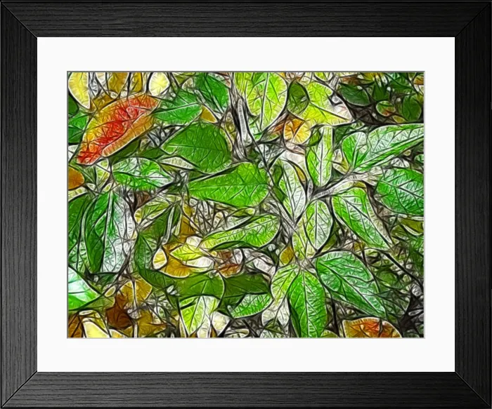 Framed Print : Fractal graphics, abstract Framed Print : Fractal graphics, abstract