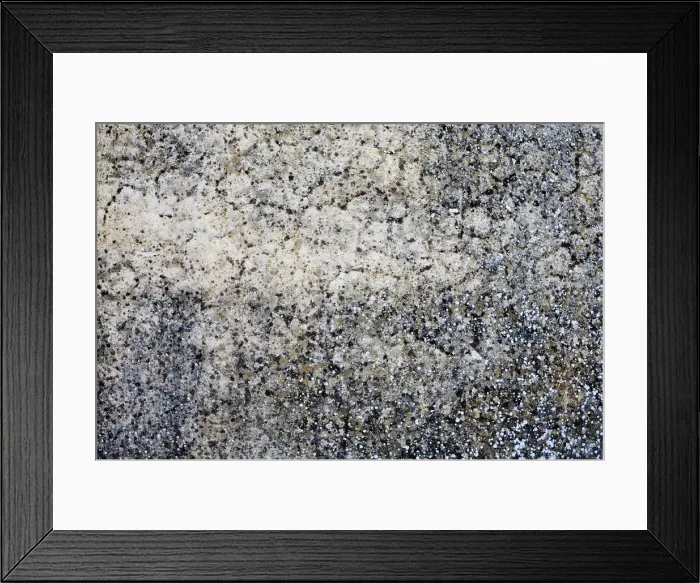 Framed Print : Moss on a rock Framed Print : Moss on a rock