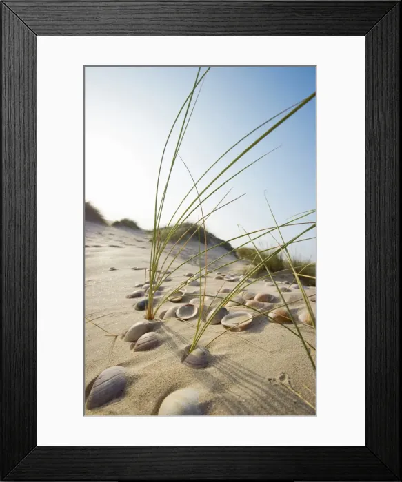 Framed Print : Beach near Conil de la Frontera, Costa de la Luz, Andalusia, Spain, Europe Framed Print : Beach near Conil de la Frontera, Costa de la Luz, Andalusia, Spain, Europe
